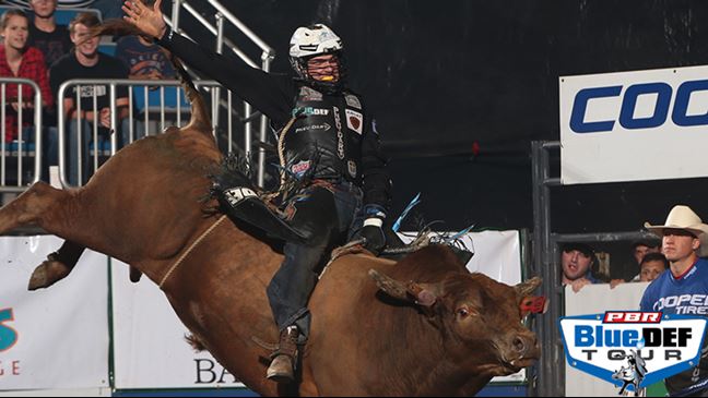 Nathan Schaper has ridden eight of his last 10 bulls this July. Photo: Andy Watson / BullStockMedia.com