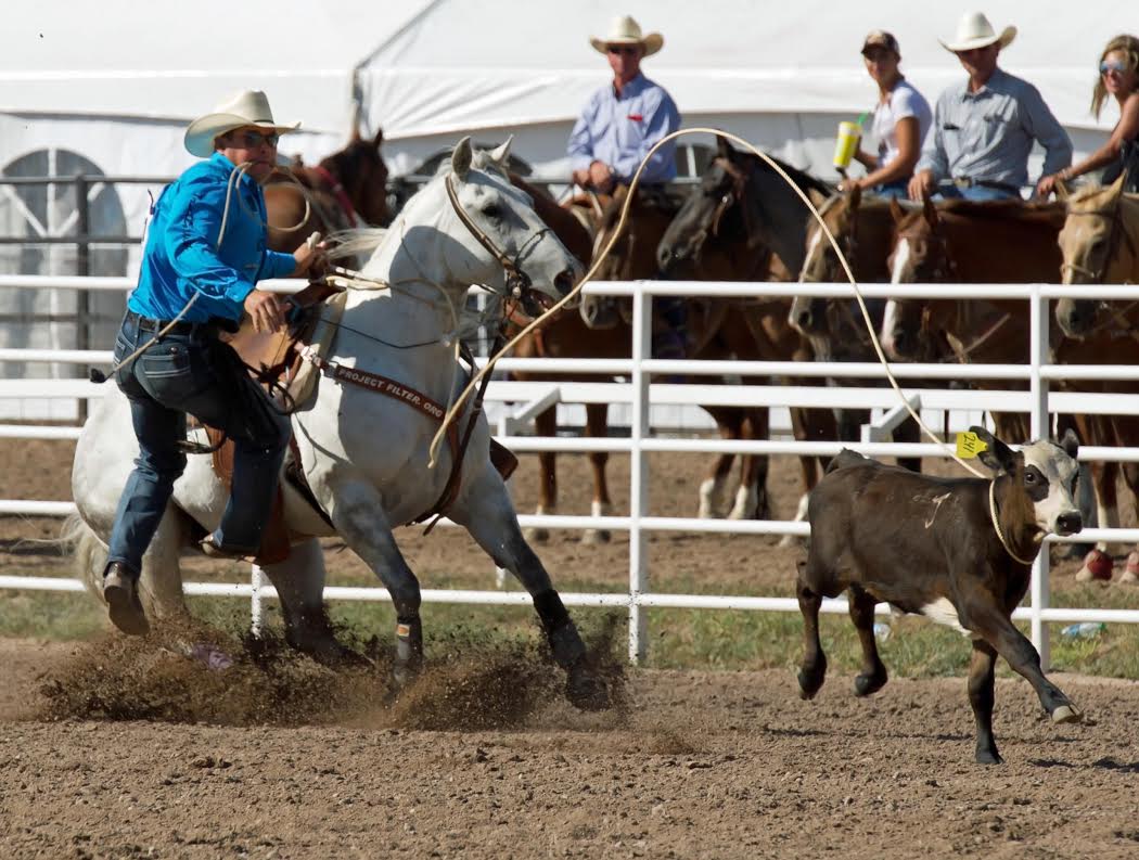 Eight time Wrangler National Finals Rodeo tie-down roping qualifier Matt Shiozawa took the lead in tie-down roping here with two runs totaling 22.8 seconds. CFD Rodeo photo by Dan Hubbell.