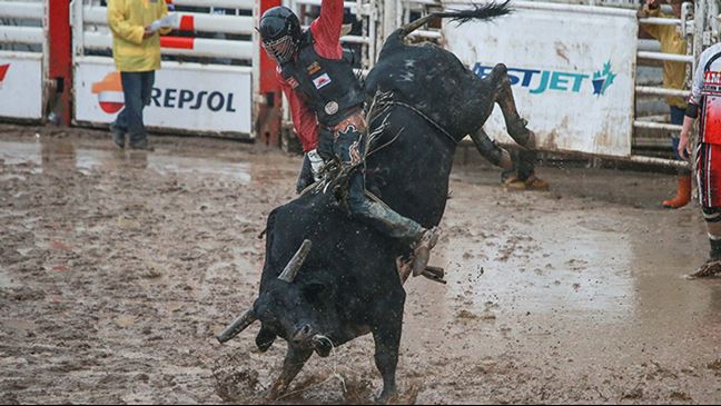 Cody Teel rode Liquid Fire for 91.5 points on his way to the Calgary Stampede title. Photo: Covy Moore