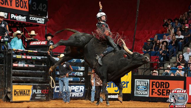 Cooper Davis' 86.75-point ride on Machinery Auctioneer's Little Joe sealed the victory Sunday. Photo: Andy Watson / BullStockMedia.com