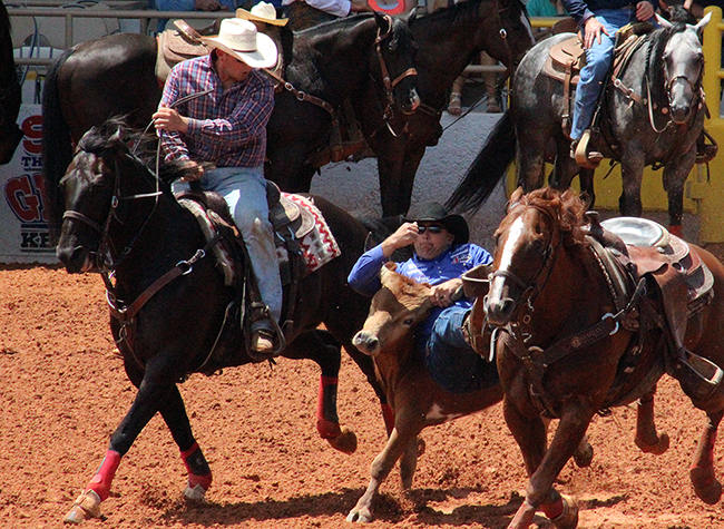 Dean Gorsuch jumps his steer during the first round of steer wrestling Wednesday at the Lea County Fair and Rodeo. Gorsuch leads the first round with a 4.3, the second round with a 3.9 and the average.