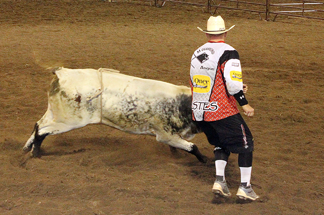 Nate Jestes battles his bull during Tuesday’s Bullfighter Only event in conjunction with the Dodge City Roundup Rodeo. Jestes scored 91 points to win the event.