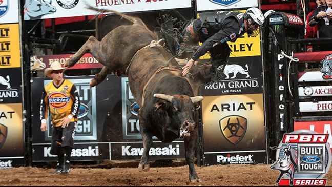 Magic Train is 7-0 this season and 26-3 in his BFTS career. Photo: Andy Watson / BullStockMedia.com
