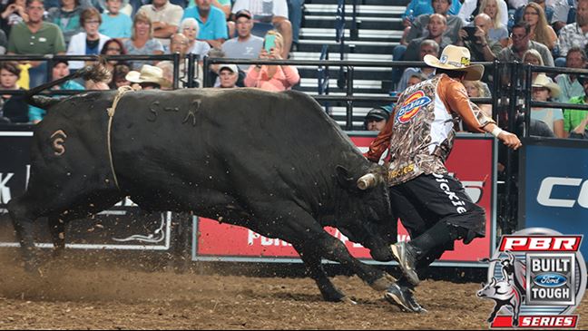 Frank Newsom had no problem taking a shot from Torch in Nashville as it helped bring his confidence back. Photo: Andy Watson / BullStockMedia.com