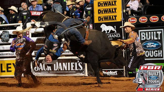 Wicked is 5-2 this season and 26-7 in his BFTS career. Photo: Andy Watson / BullStockMedia.com