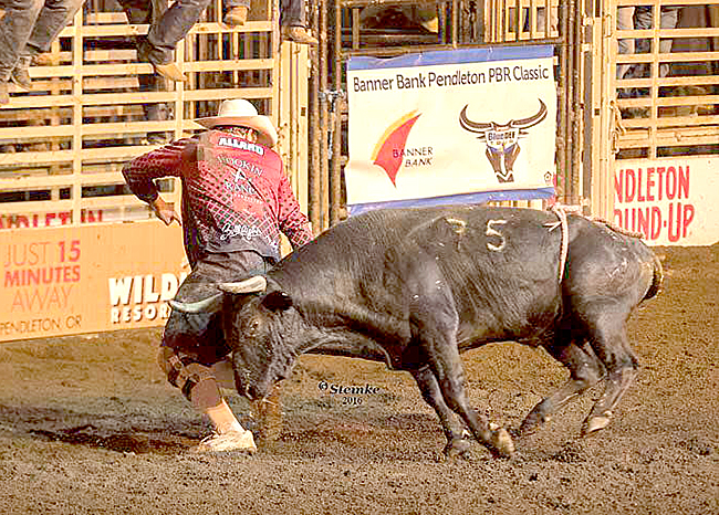 Evan Allard completes a solid fake with 12x and Costa Fighting Bulls’ Little Foot in an 86-point bout during the Bullfighters Only event in Pendleton, Ore. (KIRT STIENKE PHOTO)