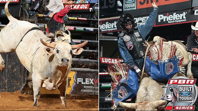 Big Cat is 10-0 this season while Tanner Byrne has won two events and is 14th in the world standings. Photos: Andy Watson / BullStockMedia.com