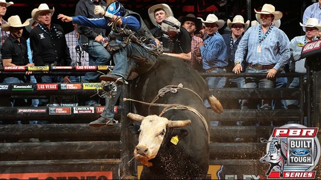 Pearl Harbor has a firm grasp on his World Champion Bull Race spot in Las Vegas. Photo: Andy Watson / BullStockMedia.com