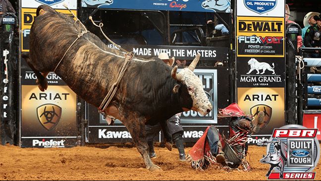 Big Benny's showing in Tulsa earned him a promotion to this weekend's 15/15 Bucking Battle. Photo: Andy Watson / BullStockMedia.com