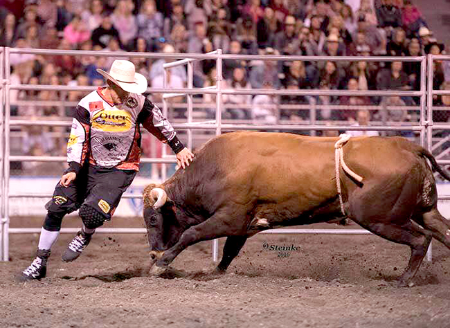 Nate Jestes moves around 12x and Costa’s Anger Management while posting an 88.5-point score to win the Bullfighters Only tour stop in conjunction with the Lewiston (Idaho) Roundup. (KIRT STIENKE PHOTO)