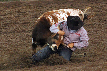 Justen Nokes of Juniata, Neb., wrestles his steer to the ground in 4.7 seconds Saturday to share the victory in the second go-round at the KPRA Finals.