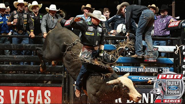 Robson Palermo's 17 qualified rides this season are his most since 2012. Photo: Andy Watson / BullStockMedia.com