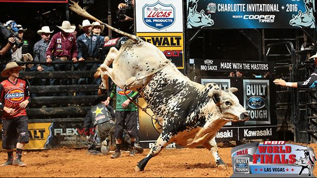 Jared Allen's Air Time is a leading contender for the World Champion Bull title. Photo: Andy Watson / BullStockMedia.com