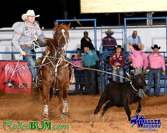 World champion saddle bronc rider Jacobs Crawley competes in tie-down roping last week during the Waller County Fair and Rodeo. By competing in both events, Crawley won the Waller County Linderman Award. (JAMES PHIFER PHOTO)