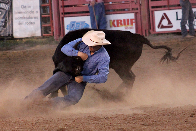 Northwestern Oklahoma State University teer wrestler Cody Devers, shown competing earlier this year, won the Oklahoma State University rodeo’s bulldogging title this past weekend in Stillwater, Okla.