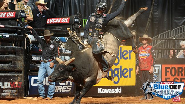 Jeff Robinson's I'm A Gangster Too will highlight the later rounds of the BlueDEF Finals. Photo: Andy Watson / BullStockMedia.com