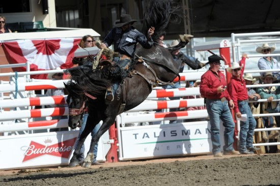 Lynx Mountain with Wade Sundell at the 2014 Calgary Stampede