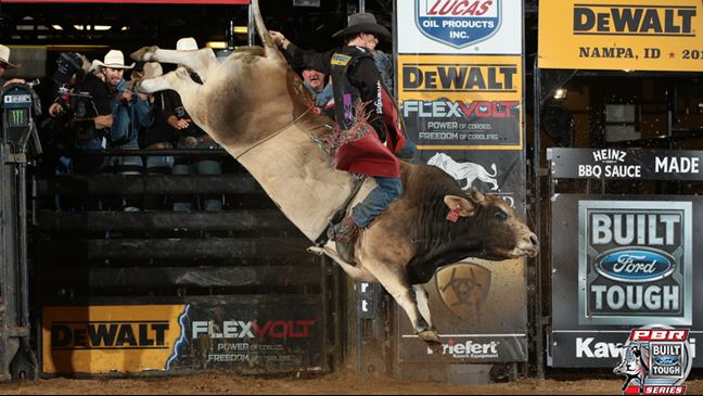 SweetPro's Bruiser was the high-marked bull this past weekend in Idaho. Photo: Andy Watson / BullStockMedia.com