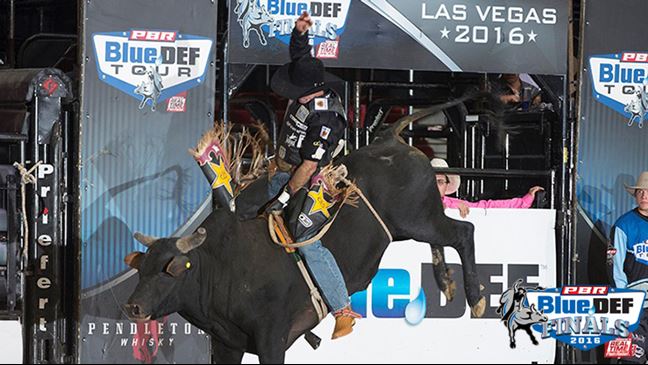 Fabiano Vieira gritted through his ride Saturday night. Photo: Andre Silva