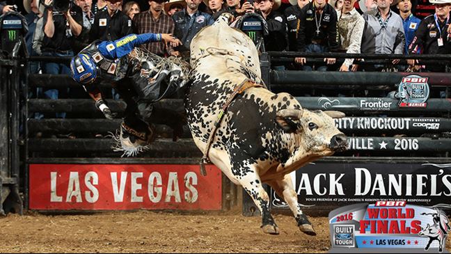 Air Time is 8-0 this season and has not surrendered a qualified ride on the BFTS since 2014. Photo: Andy Watson / BullStockMedia.com