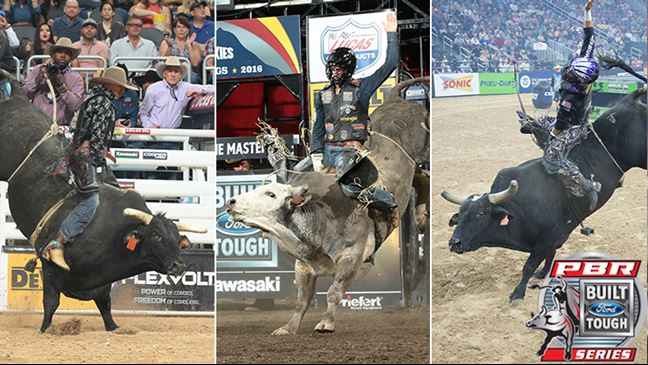 Chad Berger plans to take Crossfire, Big Cat and American Sniper to this week's National Finals Rodeo. Photos: Christopher Thompson, Andy Watson / BullStockMedia.com