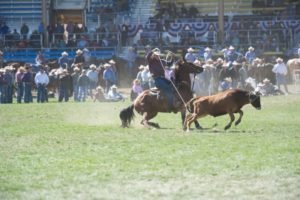 Team Roping (Heeler): Dalton Pearce
