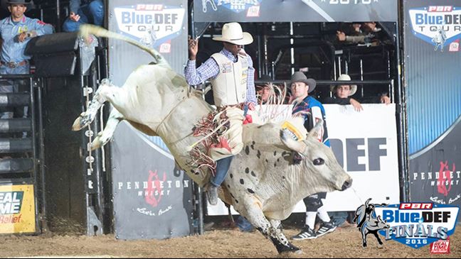 Neil Holmes went 2-for-4 at the BlueDEF Finals over the weekend. Photo: Andre Silva