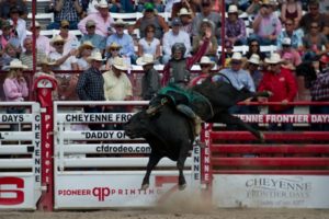 Bull Riding: Garrett Tribble