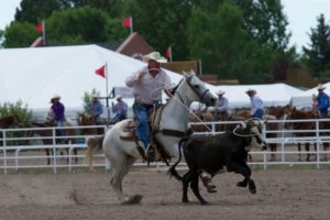 Steer Roping: Matt Garrett