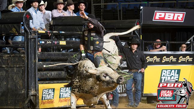 Reese Cates sealed his win in Ontario with an 89-point ride on Gas Pedal. Photo: Reed Settle / BullStockMedia.com