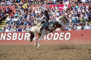 Saddle Bronc Riding: Ryder Wright