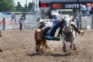 Steer Wrestling: Stephen Culling