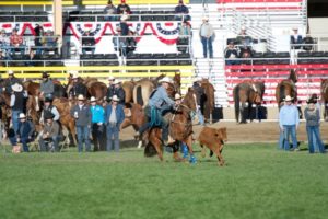 Tie-Down Roping: Taylor Santos