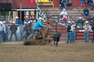 Tie-Down Roping: Westyn Hughes