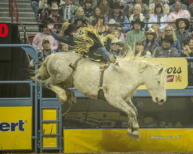 Tanner Aus spurs C5 Rodeo’s Virgil for 88 points to share the third-round victory at the Wrangler National Finals Rodeo. (RIC ANDERSEN PHOTO)