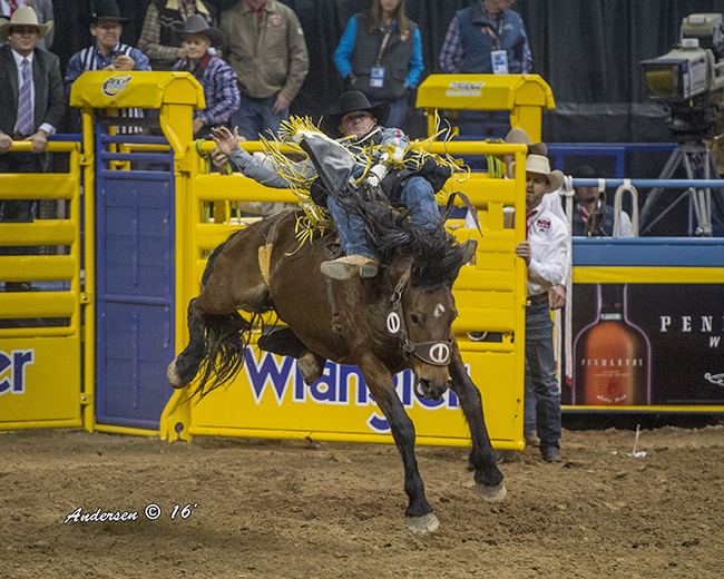 Tanner Aus rides Cervi Rodeo’s Control Freak for 85.5 points to win the opening round at the Wrangler National Finals Rodeo. (RIC ANDERSEN PHOTO)