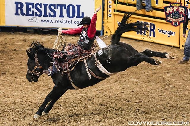 Zeke Thurston - Round 6 win - 88.5 on C5 Rodeo’s Black Hills - Covy Moore photo