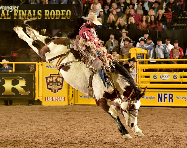 Clay Elliott rides Burch Rodeo’s Lunatic Fringe for 86 points to finish second in Thursday’s eighth go-round. (PRCA PHOTO BY DAN HUBBELL)