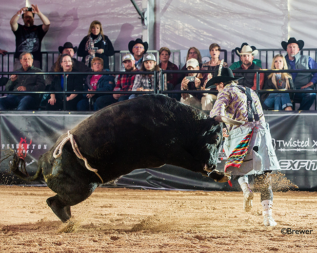 Beau Scheuth slides past 12X and Costa Fighting Bulls’ Bad Intentions, scoring 88.5 points to advance to Saturday’s final round of the Bullfighters Only Las Vegas Championship. (TODD BREWER PHOTO)