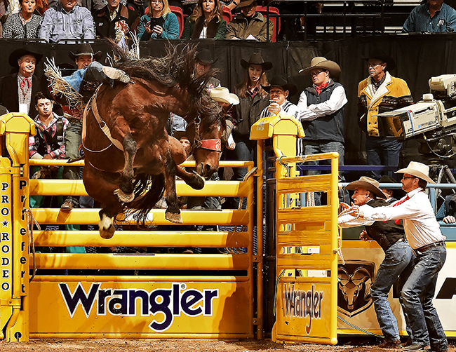 Orin Larsen begins his ride on Pete Carr Pro Rodeo’s Dirty Jacket during the ninth round of the Wrangler National Finals Rodeo. Larsen also placed in the 10th round and finished by earning money in the final five rounds of the championship. (PRCA PHOTO BY GREG WESTFALL)