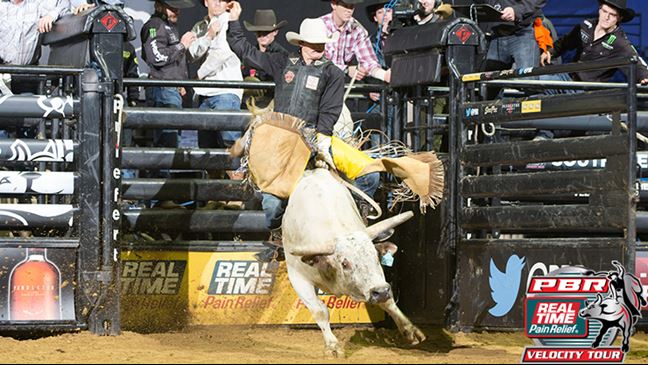 Jacob O'Mara sealed the win with an 88.5-point ride on Boomer in Round 1. Photo: Andre Silva