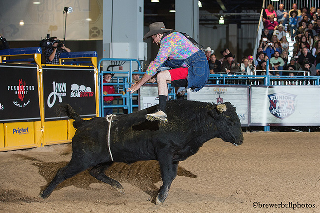 Kyle Lippincott does a flat-footed jump over his bull Friday duirng the qualifier round for the Bullfighters Only Las Vegas Championship. (TODD BREWER PHOTO)