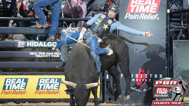 Sean Willingham went 19-for-59 at all levels of competition last year. Photo: Andre Silva
