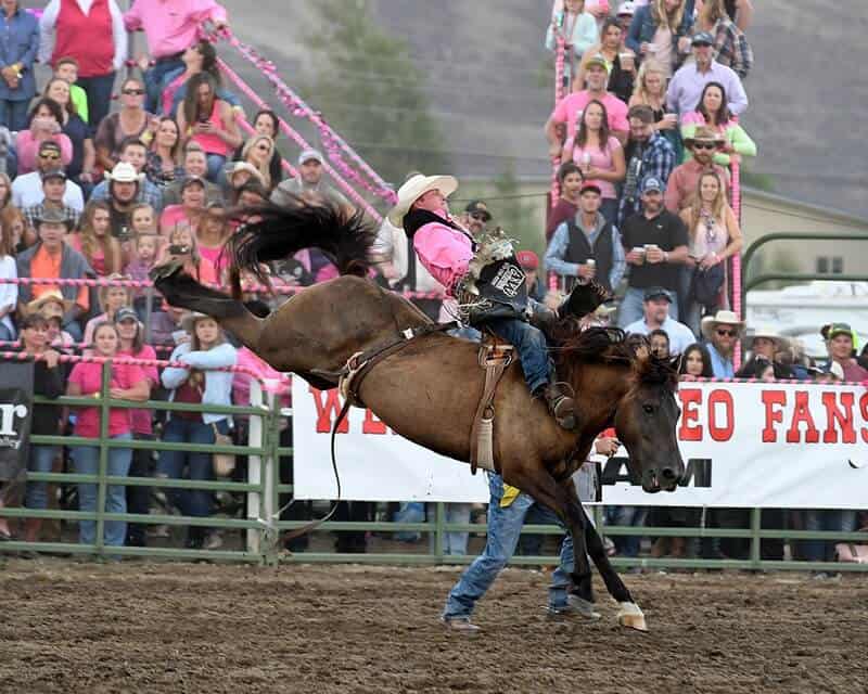 Rodeo Offers Pink Night Bonus