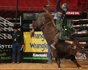 pbr bandsports