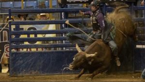 Dakota Louis was the Top Bull Rider at Rodeo All-Star