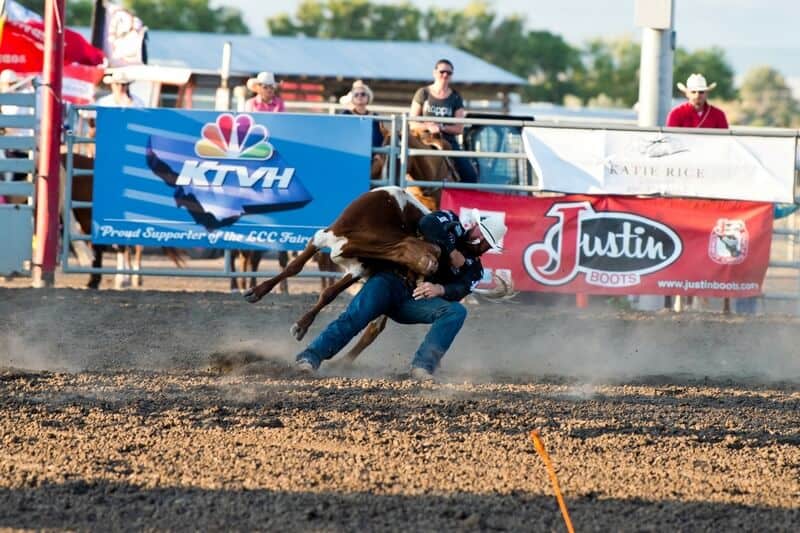 Repeat Winners at the Last Chance Stampede