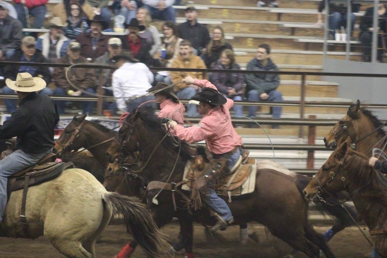 Family Rodeo News
