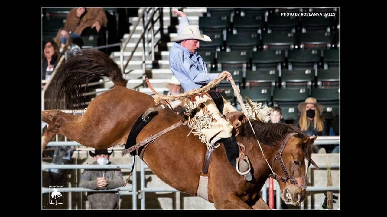 PRCA Standings Shuffle Saddle Bronc Rider Ben Andersen Jumps to 10th