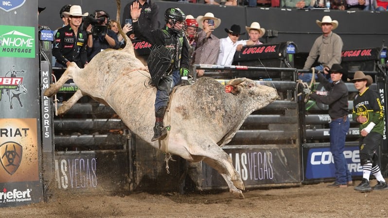 pbr s elite unleash the beast returns to manchester new hampshire and snhu arena for second consecutive season oct 15 16 news